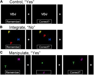 Frontopolar Cortex Specializes for Manipulation of Structured Information